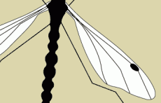 cyclobag-sac-illustration-moustique-thumb-1